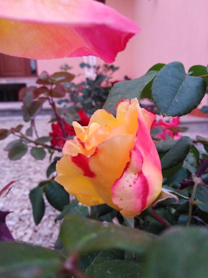 The Roses Garden Bed and Breakfast Λα Μανταλένα Εξωτερικό φωτογραφία