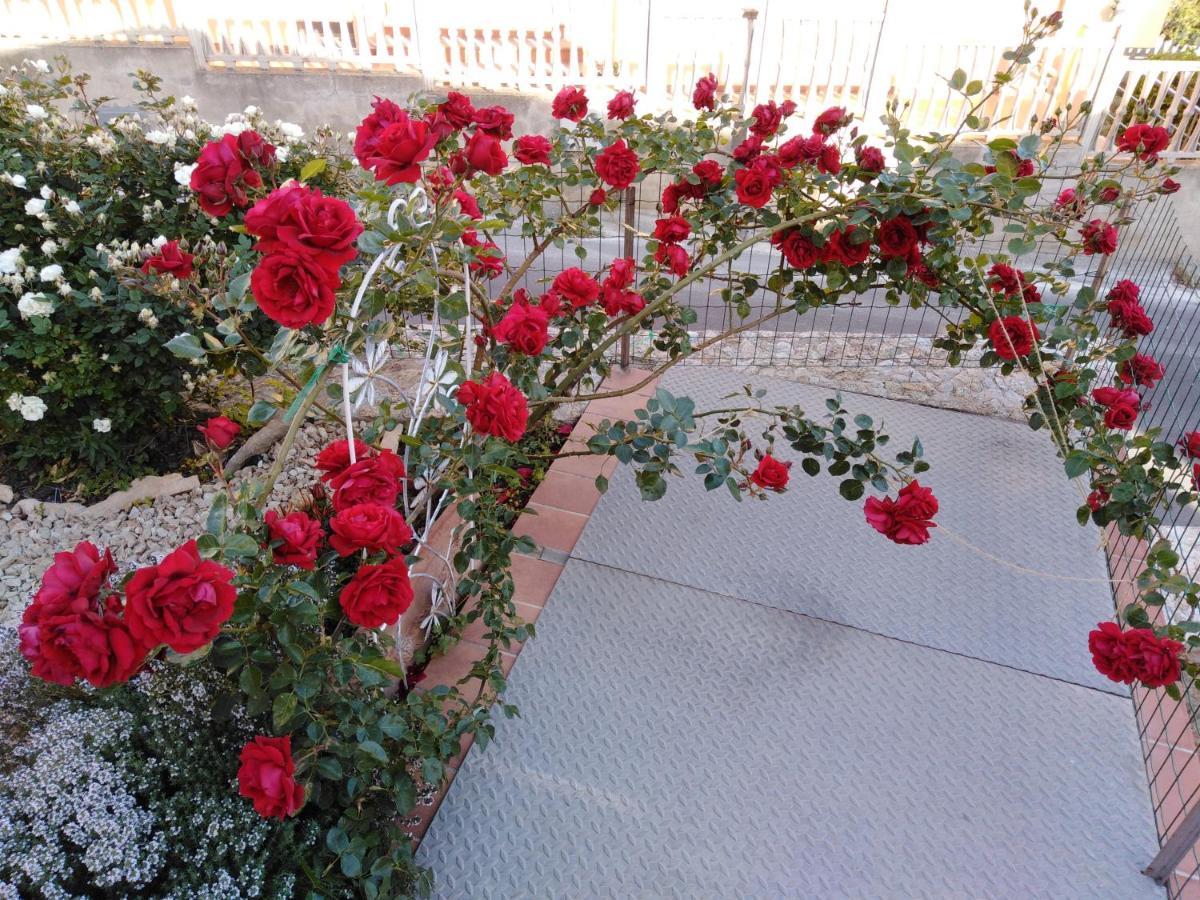 The Roses Garden Bed and Breakfast Λα Μανταλένα Εξωτερικό φωτογραφία