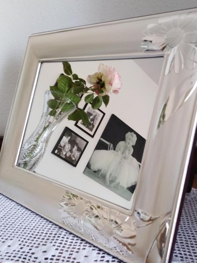 The Roses Garden Bed and Breakfast Λα Μανταλένα Εξωτερικό φωτογραφία