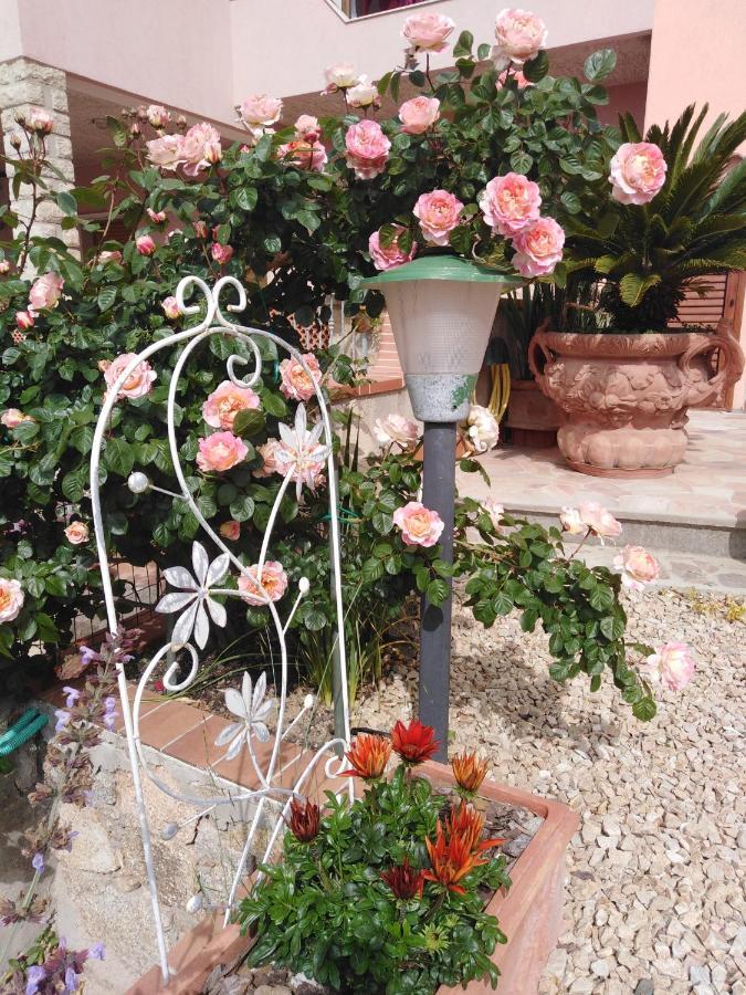 The Roses Garden Bed and Breakfast Λα Μανταλένα Εξωτερικό φωτογραφία