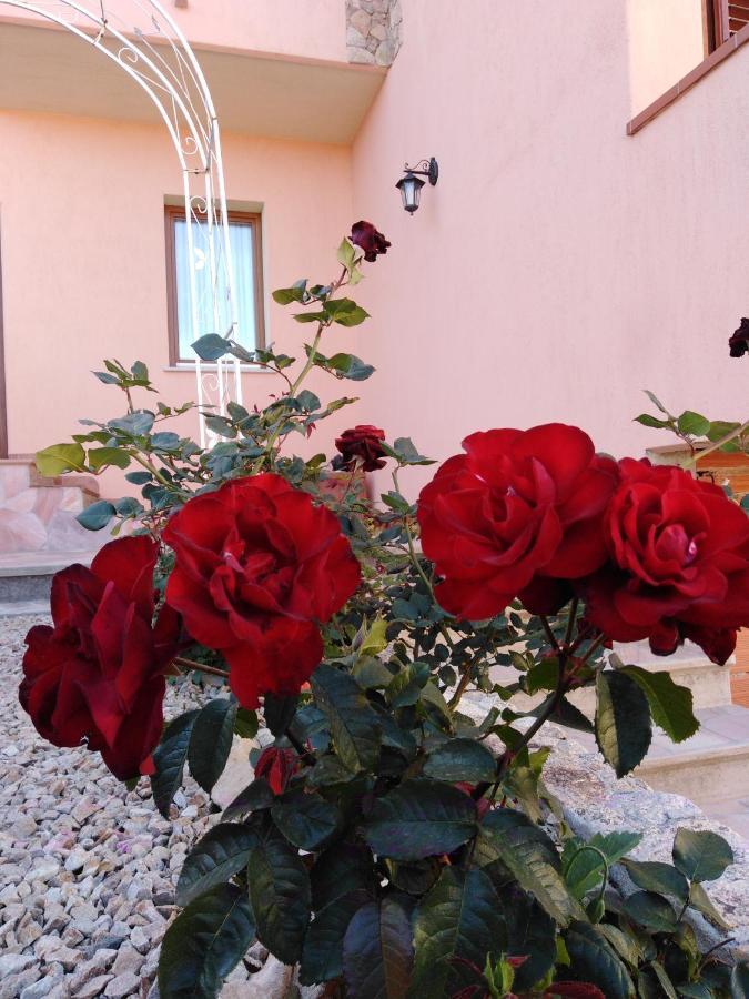 The Roses Garden Bed and Breakfast Λα Μανταλένα Εξωτερικό φωτογραφία